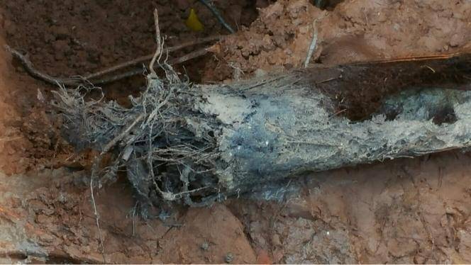 Water Heater Repair In Essex County (31)